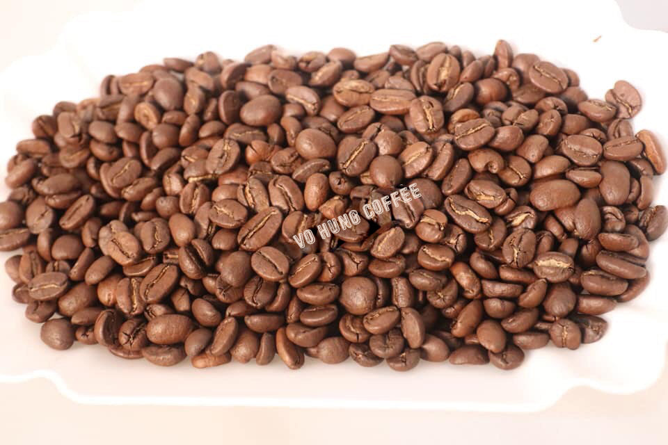 ARABICA COFFEE