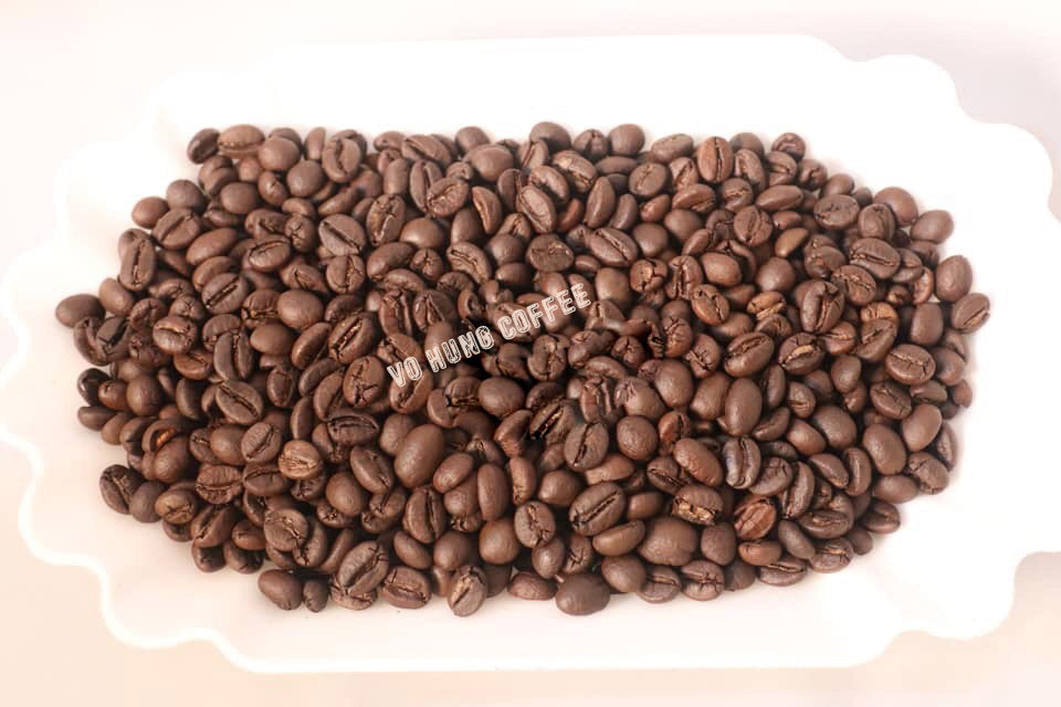 ROBUSTA COFFEE