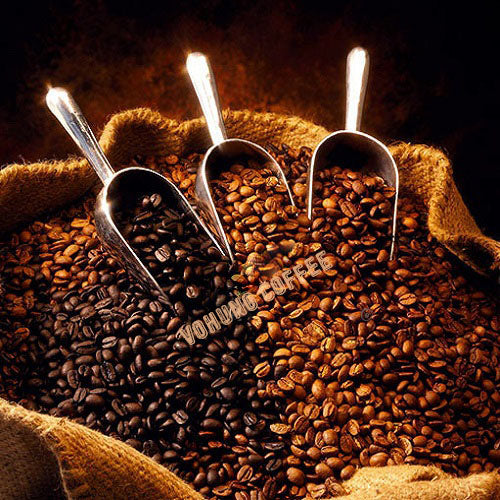 ROBUSTA COFFEE